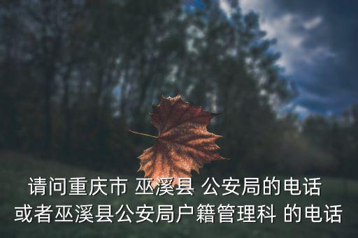 請問重慶市 巫溪縣 公安局的電話 或者巫溪縣公安局戶籍管理科 的電話
