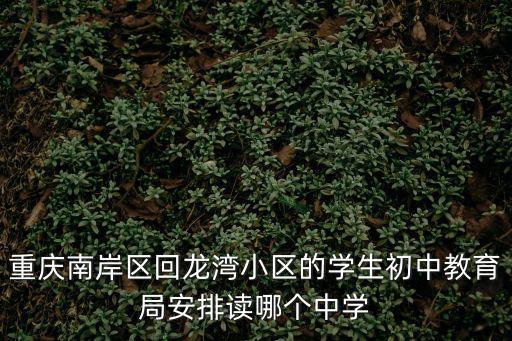 重慶市南岸區教育委員會關于第二批學位，重慶南岸區回龍灣小區的學生初中教育局安排讀哪個中學