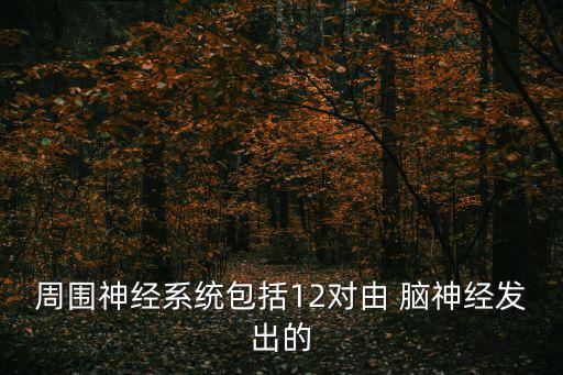 12對腦神經(jīng)順口溜,12對腦神經(jīng)的簡易分析