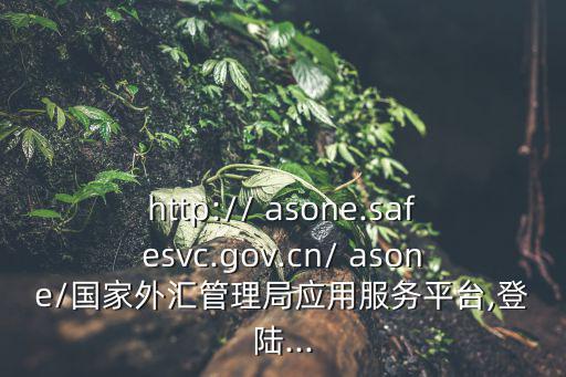 http:// asone.safesvc.gov.cn/ asone/國家外匯管理局應用服務平臺,登陸...