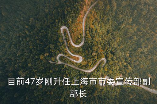目前47歲剛升任上海市市委宣傳部副部長