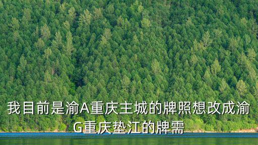 重慶市墊江縣車牌號碼，在重慶買車看可不可以在墊江上牌