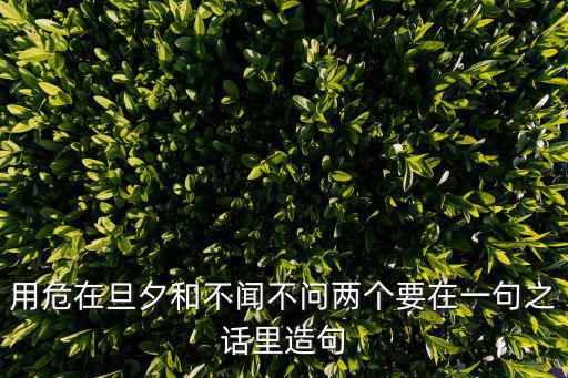 用危在旦夕和不聞不問兩個要在一句之話里造句