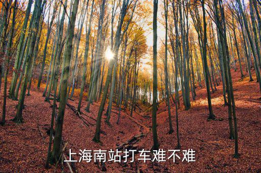 上海南站打車難不難