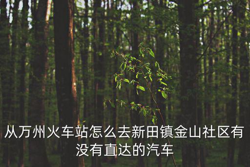 從萬(wàn)州火車站怎么去新田鎮(zhèn)金山社區(qū)有沒(méi)有直達(dá)的汽車
