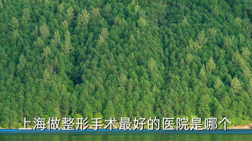 上海做整形手術(shù)最好的醫(yī)院是哪個