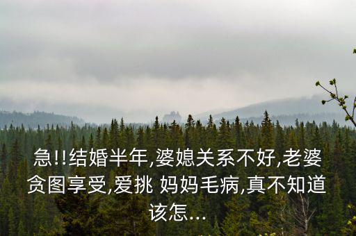 挑媽媽,《天空中的尋找-0》的作者是初三學生感動無數人