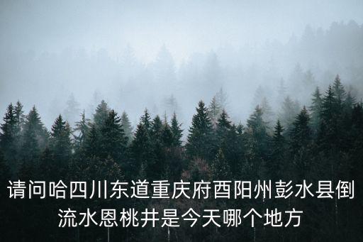 請問哈四川東道重慶府酉陽州彭水縣倒流水恩桃井是今天哪個地方