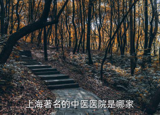 上海十大知名中醫院，上海最好的中醫醫院