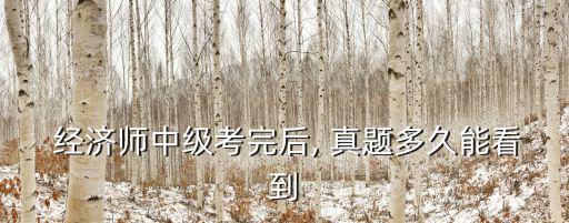 經(jīng)濟(jì)師真題,經(jīng)濟(jì)師考試用書精選歷年真題提供解題方法