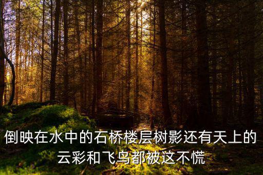 重慶市石橋廣場云上印象，打口碟在哪里