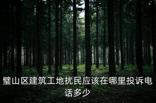 璧山區建筑工地擾民應該在哪里投訴電話多少