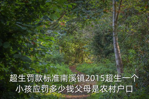 超生罰款標準南溪鎮2015超生一個小孩應罰多少錢父母是農村戶口