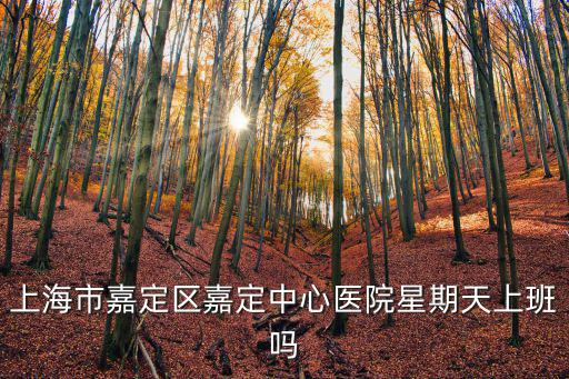 上海市嘉定區嘉定中心醫院星期天上班嗎