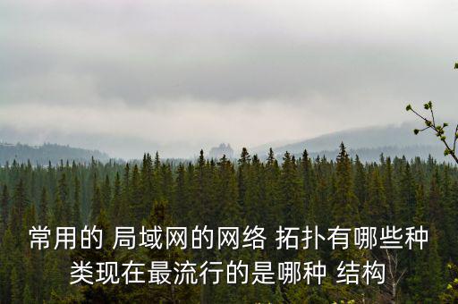 常用的 局域網(wǎng)的網(wǎng)絡(luò) 拓?fù)溆心男┓N類現(xiàn)在最流行的是哪種 結(jié)構(gòu)