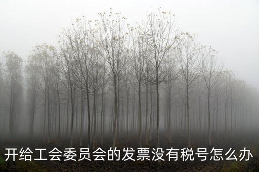 中國教育工會上海市委員會稅號，開給工會委員會的發(fā)票沒有稅號怎么辦