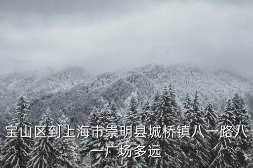 寶山區(qū)到上海市崇明縣城橋鎮(zhèn)八一路八一廣場多遠