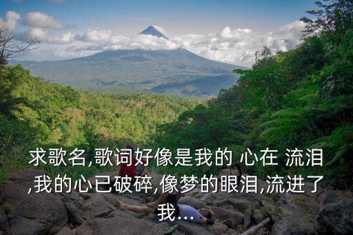 求歌名,歌詞好像是我的 心在 流淚,我的心已破碎,像夢的眼淚,流進了我...