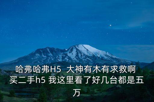 哈弗哈弗H5  大神有木有求救啊 買二手h5 我這里看了好幾臺(tái)都是五萬(wàn)