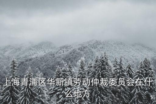 上海青浦區(qū)華新鎮(zhèn)勞動仲裁委員會在什么地方