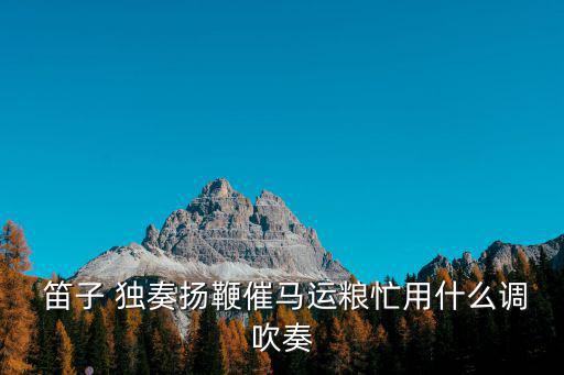  笛子 獨(dú)奏揚(yáng)鞭催馬運(yùn)糧忙用什么調(diào)吹奏