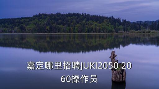 嘉定招聘，嘉定哪里招聘JUKI2050 2060操作員