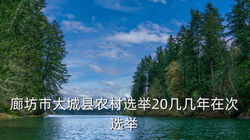 廊坊換屆公告，廊坊市大城縣農村選舉20幾幾年在次選舉