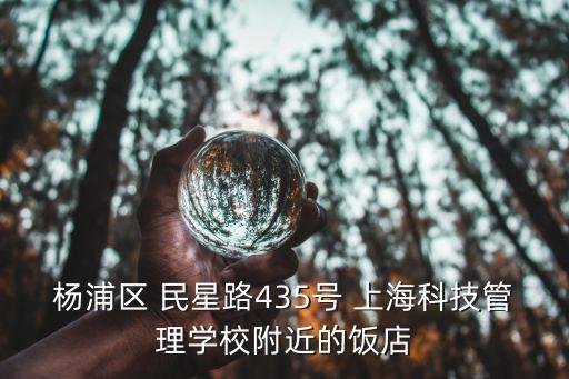 楊浦區 民星路435號 上?？萍脊芾韺W校附近的飯店