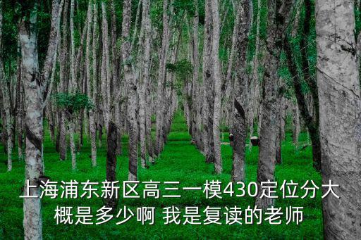 上海浦東新區高三一模430定位分大概是多少啊 我是復讀的老師