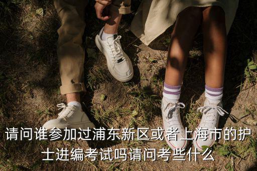 請問誰參加過浦東新區或者上海市的護士進編考試嗎請問考些什么