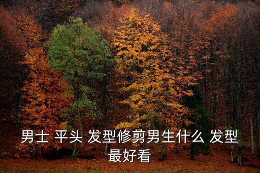 男士 平頭 發型修剪男生什么 發型最好看
