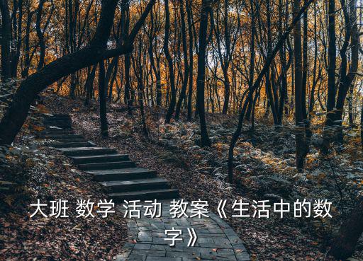 大班 數學 活動 教案《生活中的數字》