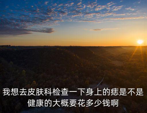 我想去皮膚科檢查一下身上的痣是不是健康的大概要花多少錢啊