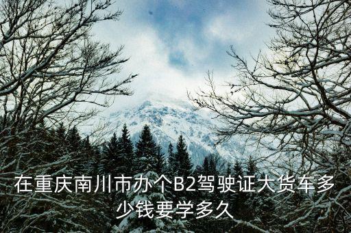 在重慶南川市辦個B2駕駛證大貨車多少錢要學(xué)多久