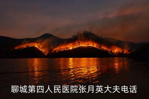 聊城第四人民醫院張月英大夫電話
