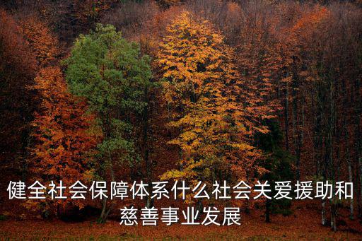 健全社會保障體系什么社會關(guān)愛援助和慈善事業(yè)發(fā)展