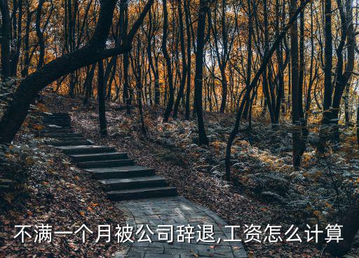 月工,若員工工作一個月內被公司辭退薪金換算為日工資