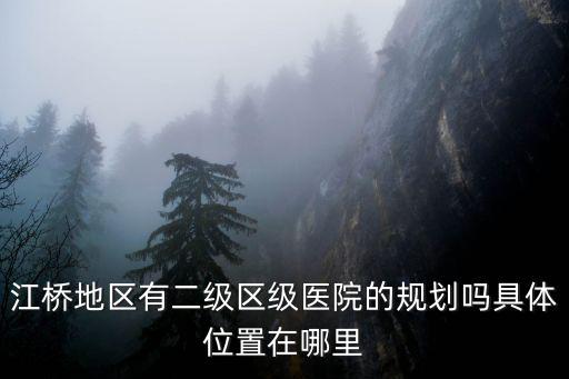 江橋地區(qū)有二級(jí)區(qū)級(jí)醫(yī)院的規(guī)劃嗎具體位置在哪里