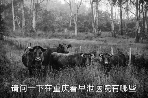 請問一下在重慶看早泄醫院有哪些