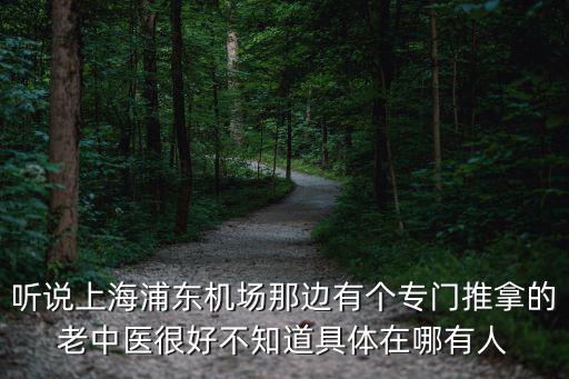 聽說上海浦東機場那邊有個專門推拿的老中醫很好不知道具體在哪有人