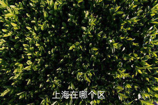 上海市廣中路哪個(gè)區(qū)，上海廣西中路屬于哪個(gè)區(qū)