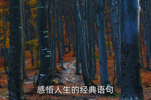 品味人生的經典句子，經典人生句子