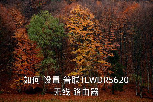 普聯路由器設置,如何安裝和使用無線wifi?