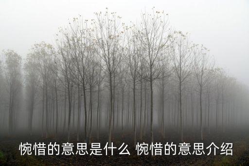  惋惜的意思是什么 惋惜的意思介紹