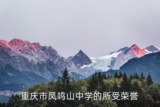 重慶市第五屆法制教育優質課競賽，天府新區青年教師優質課參加了區上比賽的老師都有獎狀嗎