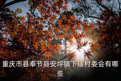 重慶市奉節安坪，奉節到安坪新治多少公里路