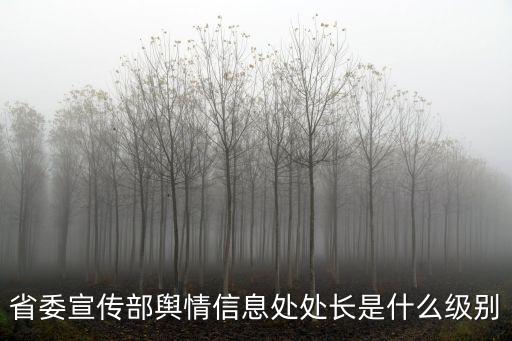 廣東省委宣傳部肖娟處長，省委宣傳部部長怎么翻譯