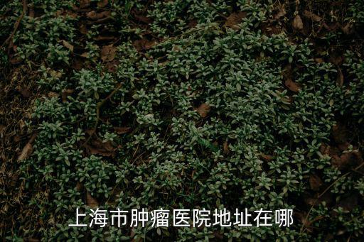 上海市腫瘤醫(yī)院地址在哪