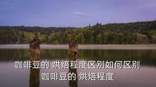  咖啡豆的 烘焙程度區(qū)別如何區(qū)別 咖啡豆的 烘焙程度