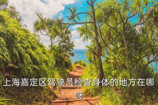 上海嘉定區駕駛員檢查身體的地方在哪呀